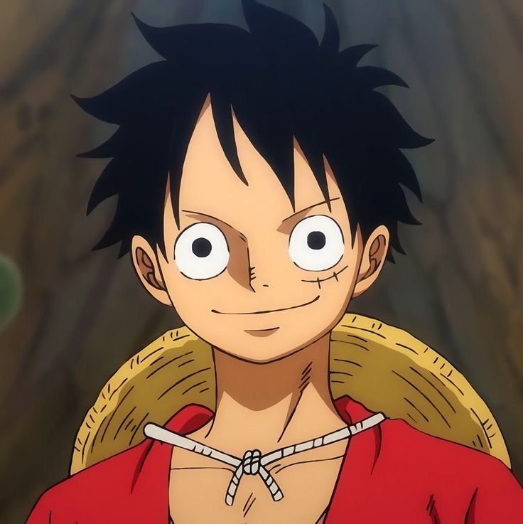 Monkey D. Luffy — Image 13